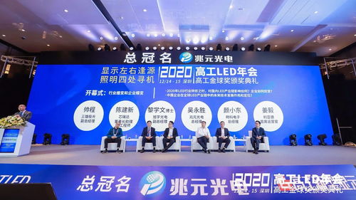 圆桌对话 大咖共探LED价格与产品技术走势——海口的行业洞察