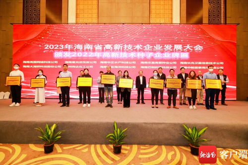 科技自贸港的转型号角 从2023年海南省高新技术企业发展大会看海口信息技术咨询服务的跃迁机遇